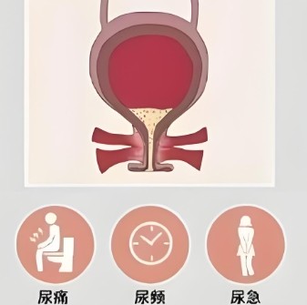 泰安俪人医院