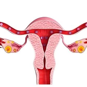 患有子宫肌瘤后有哪些症状表现？