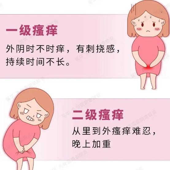 女性外阴瘙痒的情况是什么引起的？这几点可以多关注下