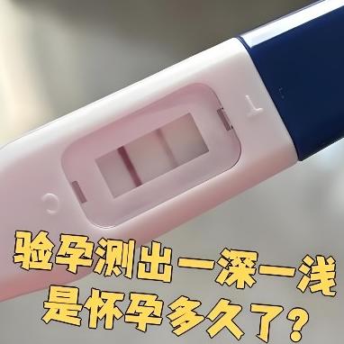 泰安俪人妇产医院讲述早孕检查的具体内容都有哪些