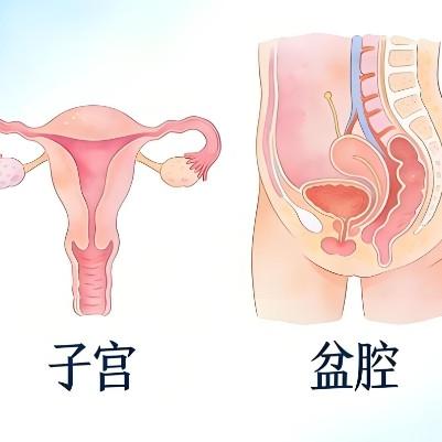 女性患有盆腔炎后的症状表现有哪些？