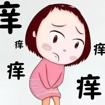 女性外阴瘙痒到底是怎么回事