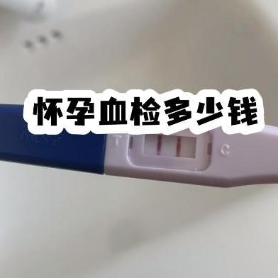 早孕检查的主要内容包括哪些？